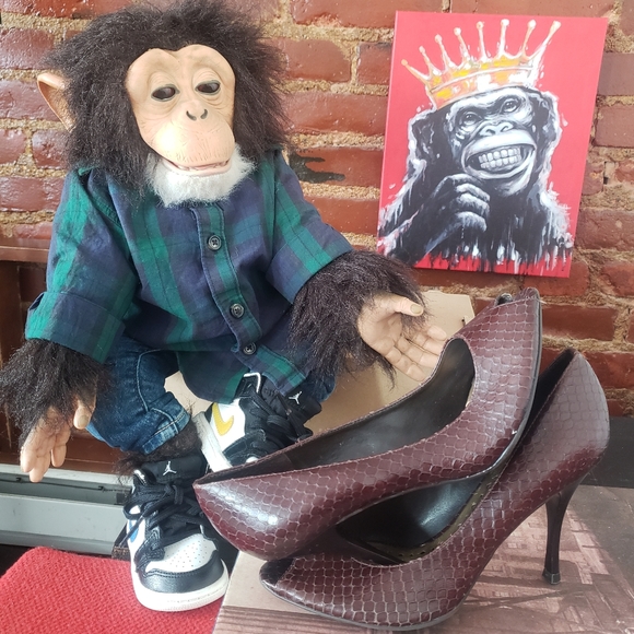 BCBG Heels - Picture 5 of 11